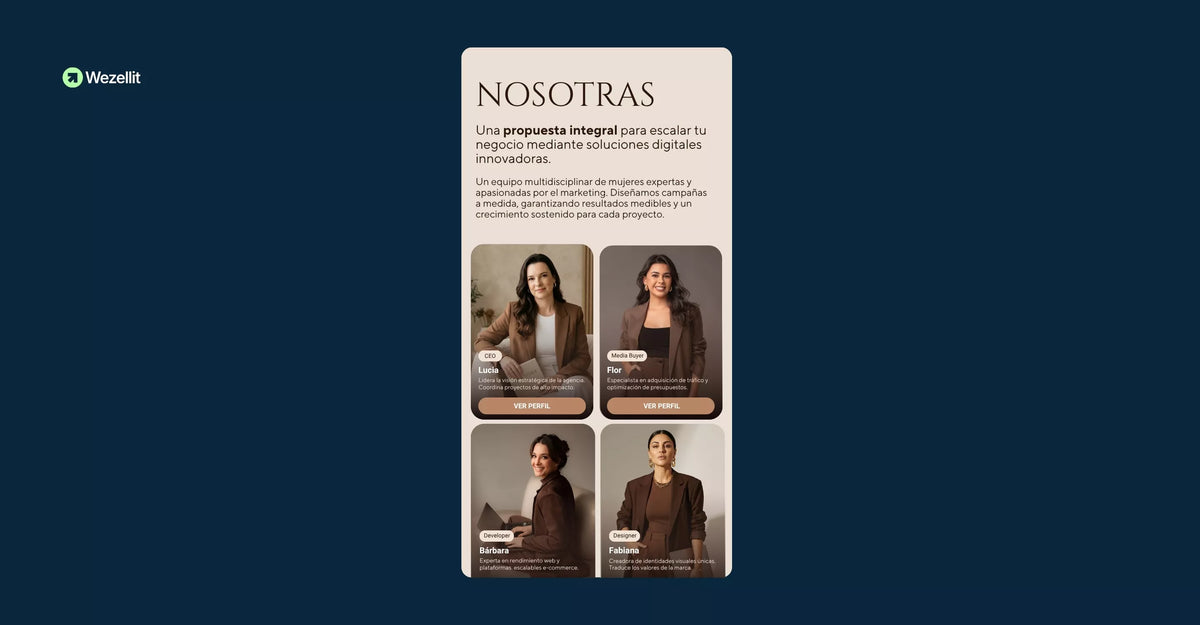 About Us Section - Shopify - Web Component