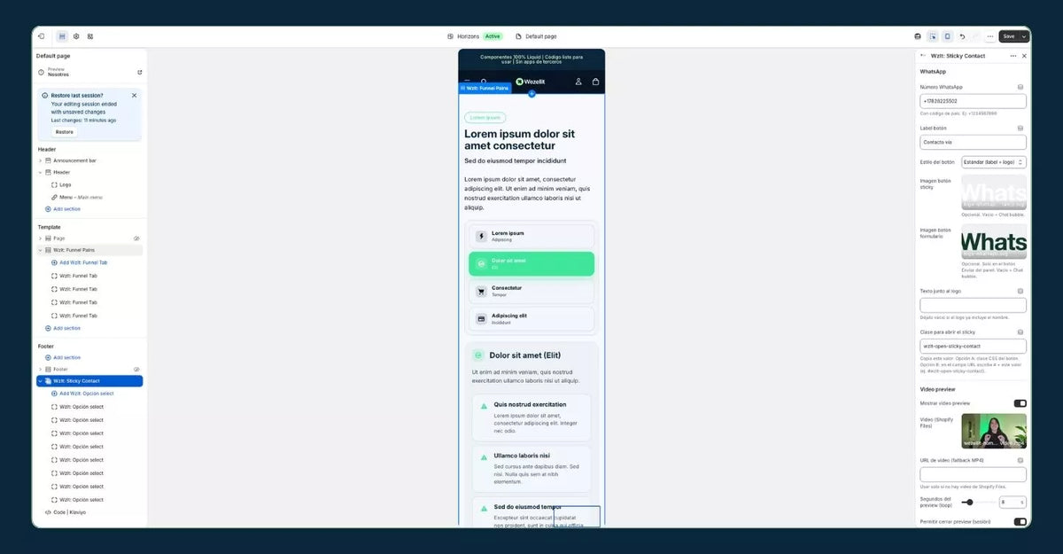 Information Organizer and Pain Points Section - Shopify - Web Component