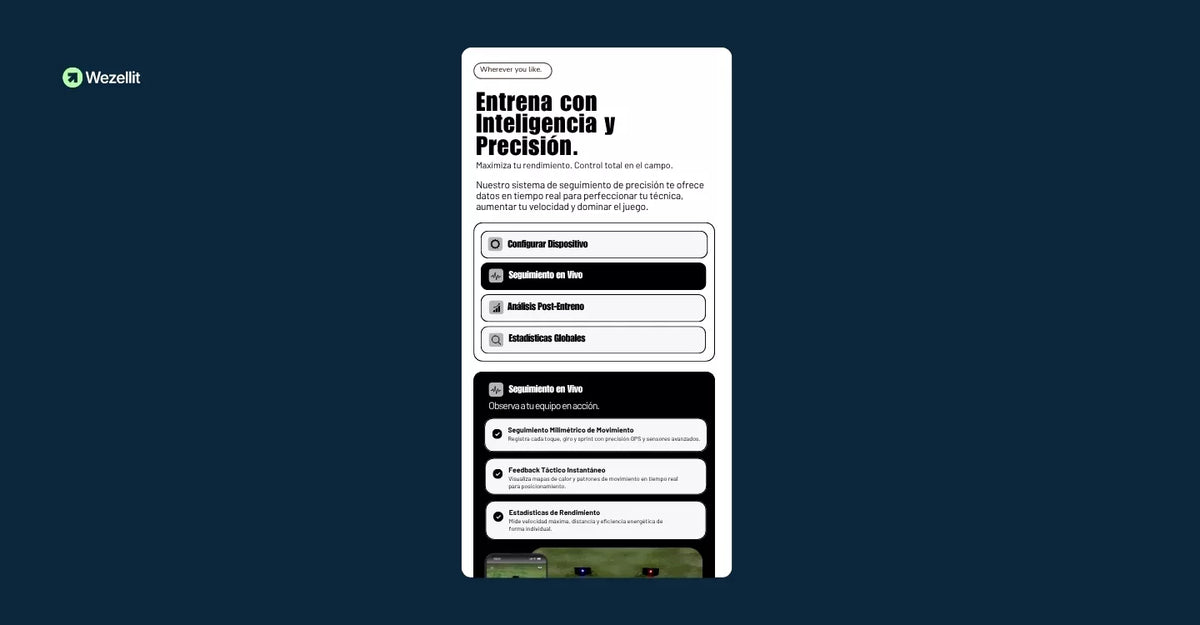 Information Organizer and Pain Points Section - Shopify - Web Component
