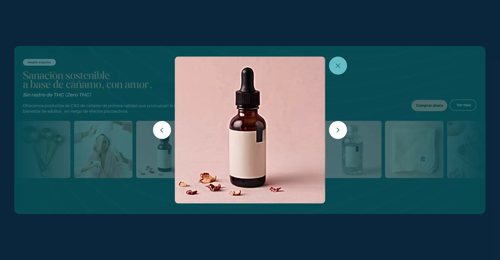 Image Gallery Section - Shopify - Web Component