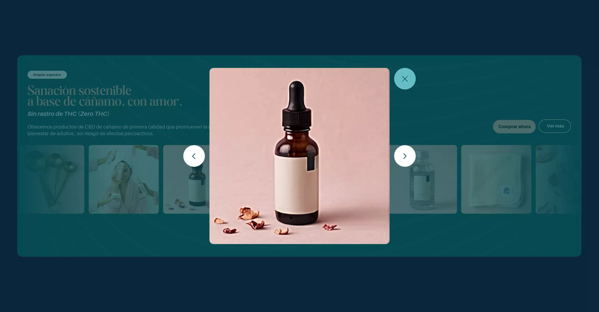 Image Gallery Section - Shopify - Web Component