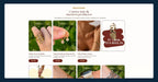 Services Section - Shopify - Web Component