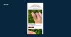 Services Section - Shopify - Web Component
