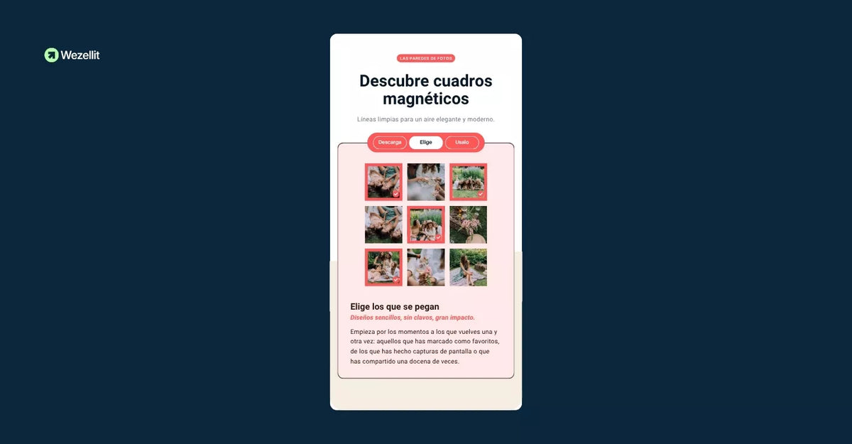 Step-by-Step Presenter Section - Shopify - Web Component